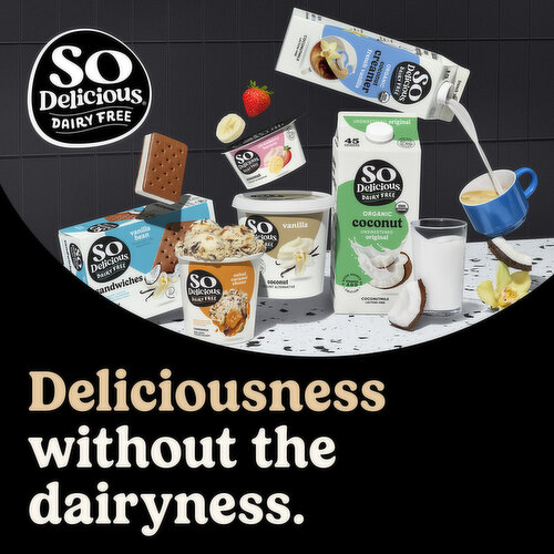 So Delicious Dairy Free Coconut Vanilla Yogurt Alternative