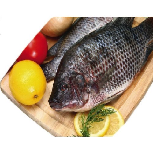 Whole Tilapia