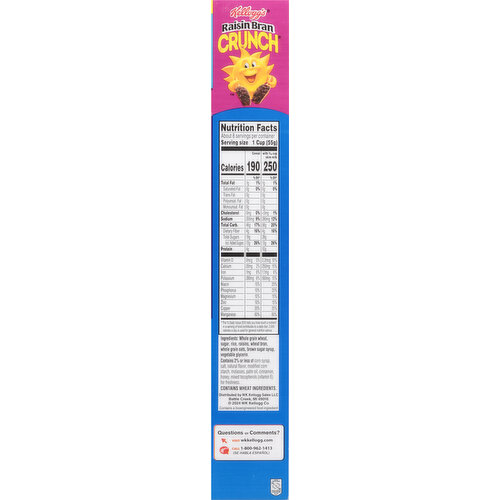 Raisin Bran Cereal, Original, Crunch