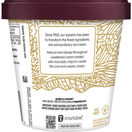 Haagen-Dazs Ice Cream, Mint Chip