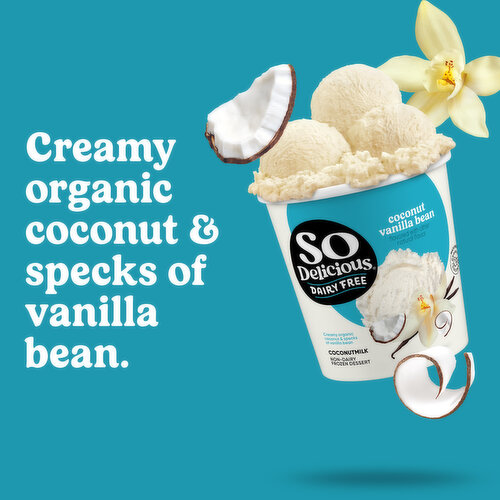 So Delicious Dairy Free Non-Dairy Coconutmilk Coconut Vanilla Bean Frozen Dessert