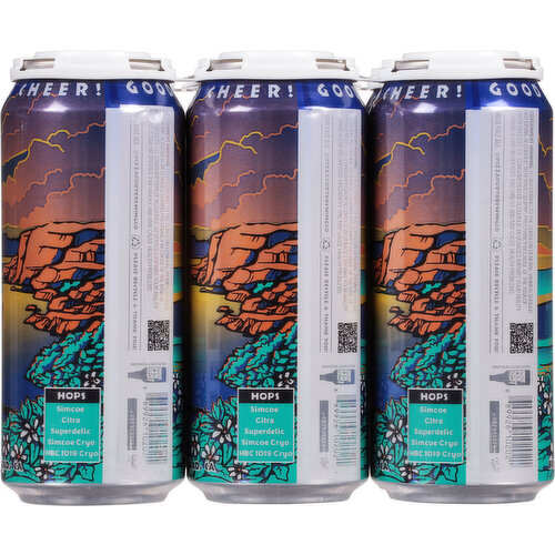 Pizza Port Brewing Co. IPA Sunset Stroll Beer