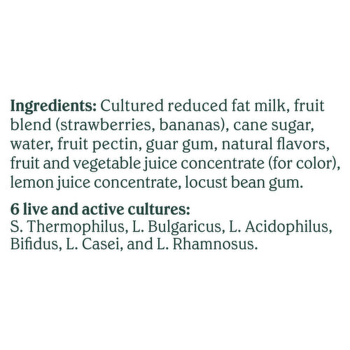 Chobani Reduced Fat Greek Strawberry Banana on the Bottom Yogurt Value Pack