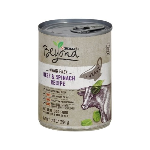 Beyond Grain Free Beef & Spinach Wet Dog 12.5 oz