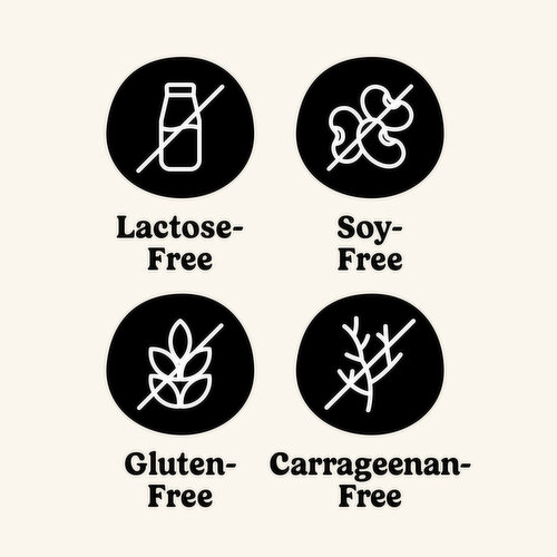 So Delicious Dairy Free Coconut Raspberry Yogurt Alternative