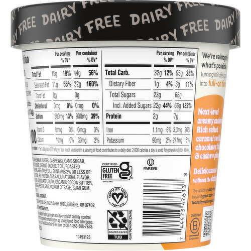 So Delicious Dairy Free Non-Dairy Cashewmilk Salted Caramel Cluster Frozen Dessert