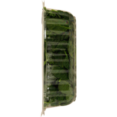 Sun Harvest Baby Spinach, Organic