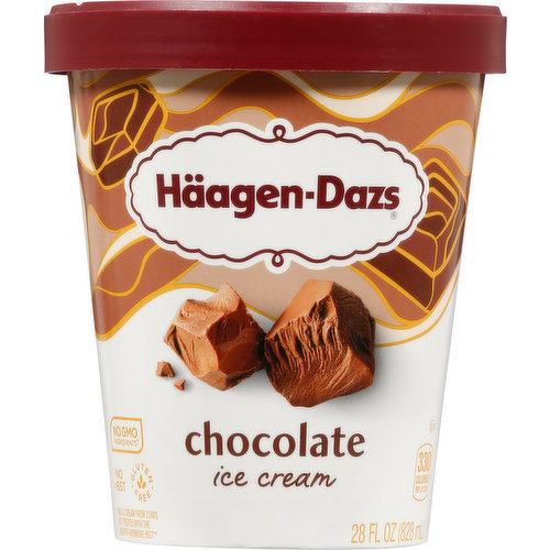 Haagen-Dazs Ice Cream, Chocolate