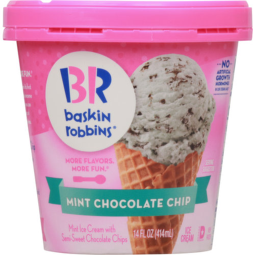 Baskin Robbins Ice Cream, Mint Chocolate Chip