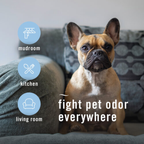 Febreze Air Freshener Spray Odor-Fighting Room Spray HD Pet