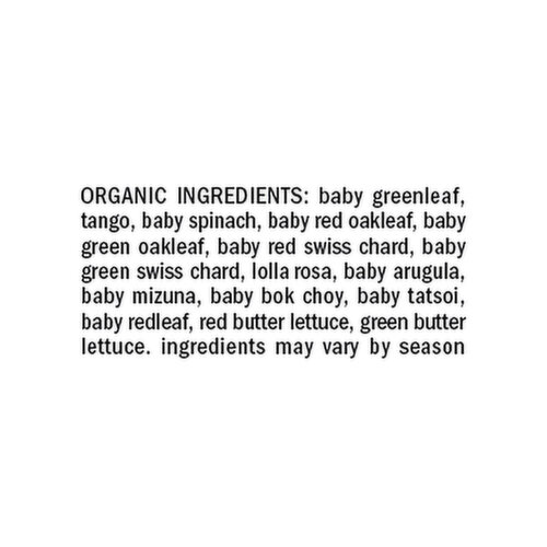 Organicgirl Essential Salads Baby Spring Mix
