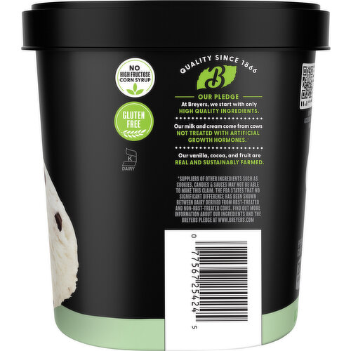 Breyers Mint Chocolate Chip Ice Cream