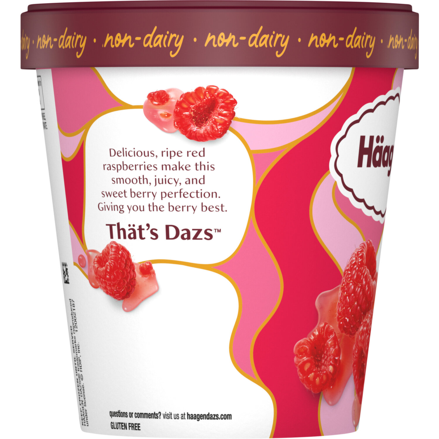 Haagen-Dazs Haagen-Dazs Raspberry Sorbet, 14oz - Smart & Final