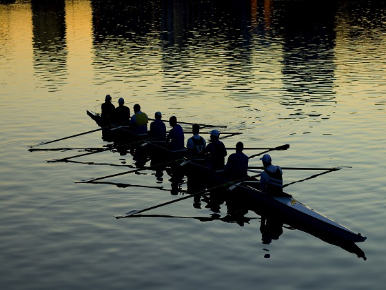 Rowing is such a fine sport. Everyone goes backward, and the leader can see his opponents as they struggle in vain.