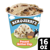 Ben & Jerry's Ice Cream Pint, 16 Ounce