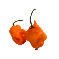 Fresh Habanero Pepper, 0.05 Pound