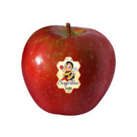 Produce Apple, Sugarbee