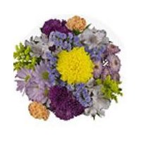 Cub Icy Bouquet, 1 Each