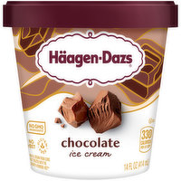 Haagen Dazs Chocolate Ice Cream, 14 Fluid ounce