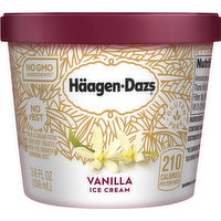 Haagen- Dazs Vanilla Ice Cream, 3.6 Ounce