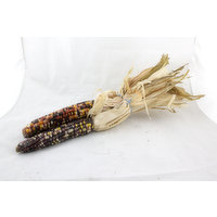 Cub Decorative Corn, 1 Each