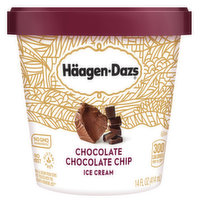Haagen- Dazs Chocolate Chocolate Chip, 14 Ounce
