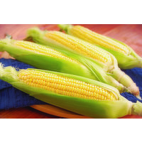Produce Sweet Corn, Bi-Color, 1 Each