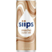 Siips Lowfat Mocha Milk Single Serve, 8 Ounce