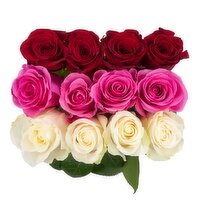 Cub Tri-color Roses, 1 Each