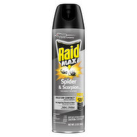 Raid Max Spider & Scorpion Killer, Indoor - Outdoor, 12 Ounce