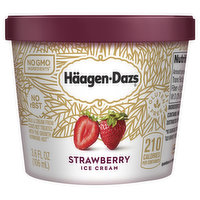 Haagen-Dazs Ice Cream, Strawberry, 3.6 Ounce