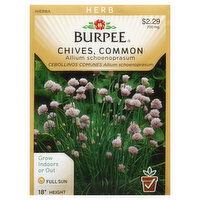 Burpee Seeds, Chives, Common, 700 Milligram