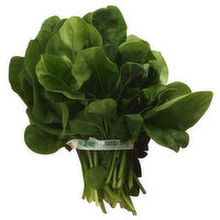 Fresh Spinach Bunch, 1 Each