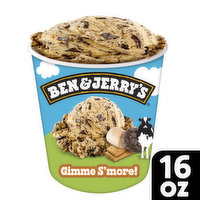 Ben & Jerry's Ice Cream Pint, 16 Ounce