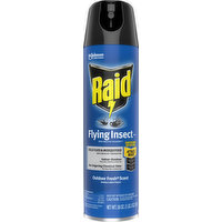 Raid Flying Insect Killer, Outdoor Fresh Scent, 18 Ounce