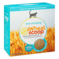 sWheat Scoop Cat Litter, Fast-Clumping, 12.3 Pound