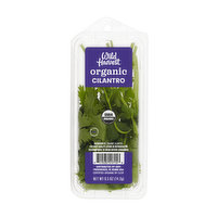 Wild Harvest Organic Cilantro, 0.5 Ounce