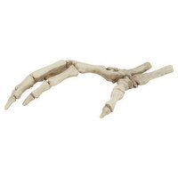 Seasons Skeleton Hand, 1 Each