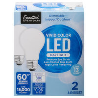 Essential Everyday Light Bulbs, A19, Dimmable, Vivid Color, Daylight, LED, 60 Watts, 2 Each