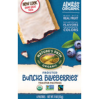 Nature's Path Organic Toaster Pastries, Buncha Blueberries, Frosted, 6 Each
