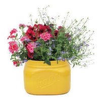 Cub Floral 8" Mason Jar Planter, 1 Each