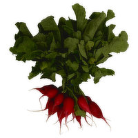 Fresh Red Radish Bunch, 1 Each