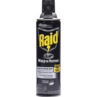 Raid Wasp & Hornet Killer 33, 14 Ounce