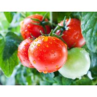 Fresh Vine Ripe Tomatoes, 0.4 Pound
