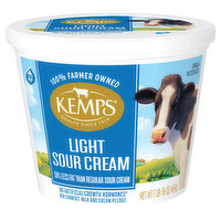 Kemps Light Sour Cream