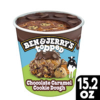 Ben & Jerry's Ice Cream Pint, 15.2 Ounce