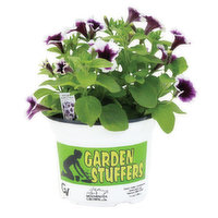 Cub Floral 6'" Garden Stuffers, 1 Each