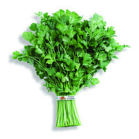 Fresh Organic Cilantro Bunched, 1 Each