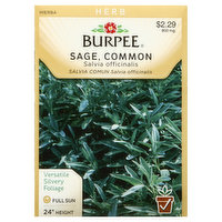 Burpee Seeds, Sage, Common, 800 Milligram