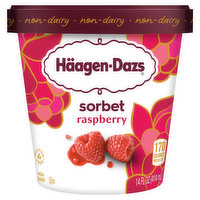 Haagen-Dazs Sorbet, Raspberry, 14 Fluid ounce